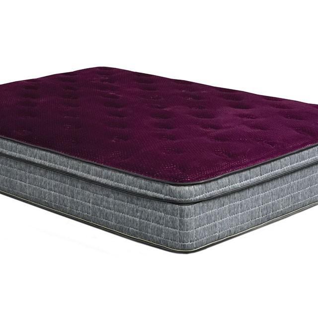 Purple/Grey 13" Euro Pillow Top Mattress Non-Flip, Full - Premium Mattress from FOA East - Just $813.15! Shop now at Furniture Wholesale Plus  We are the best furniture store in Nashville, Hendersonville, Goodlettsville, Madison, Antioch, Mount Juliet, Lebanon, Gallatin, Springfield, Murfreesboro, Franklin, Brentwood