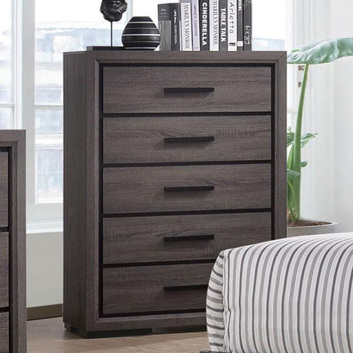 Conwy Gray Chest - Premium Chest from FOA East - Just $427.05! Shop now at Furniture Wholesale Plus  We are the best furniture store in Nashville, Hendersonville, Goodlettsville, Madison, Antioch, Mount Juliet, Lebanon, Gallatin, Springfield, Murfreesboro, Franklin, Brentwood