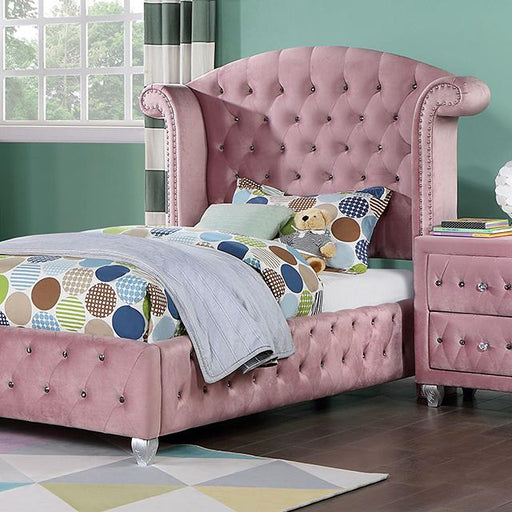 ZOHAR Twin Bed, Pink - Premium Youth Bed from FOA East - Just $583.05! Shop now at Furniture Wholesale Plus  We are the best furniture store in Nashville, Hendersonville, Goodlettsville, Madison, Antioch, Mount Juliet, Lebanon, Gallatin, Springfield, Murfreesboro, Franklin, Brentwood