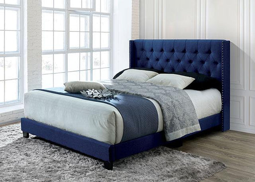 JENELLE Twin Bed, Navy - Premium Youth Bed from FOA East - Just $255.45! Shop now at Furniture Wholesale Plus  We are the best furniture store in Nashville, Hendersonville, Goodlettsville, Madison, Antioch, Mount Juliet, Lebanon, Gallatin, Springfield, Murfreesboro, Franklin, Brentwood