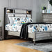 DAPHNE Gray Queen Bed - Premium Bed from FOA East - Just $542.10! Shop now at Furniture Wholesale Plus  We are the best furniture store in Nashville, Hendersonville, Goodlettsville, Madison, Antioch, Mount Juliet, Lebanon, Gallatin, Springfield, Murfreesboro, Franklin, Brentwood