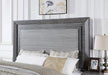 RAIDEN Queen Bed, Gray - Premium Bed from FOA East - Just $973.05! Shop now at Furniture Wholesale Plus  We are the best furniture store in Nashville, Hendersonville, Goodlettsville, Madison, Antioch, Mount Juliet, Lebanon, Gallatin, Springfield, Murfreesboro, Franklin, Brentwood