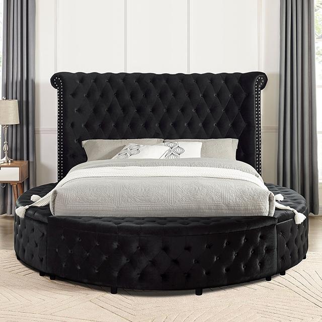 SANSOM E.King Bed, Black - Premium Bed from FOA East - Just $1324.05! Shop now at Furniture Wholesale Plus  We are the best furniture store in Nashville, Hendersonville, Goodlettsville, Madison, Antioch, Mount Juliet, Lebanon, Gallatin, Springfield, Murfreesboro, Franklin, Brentwood