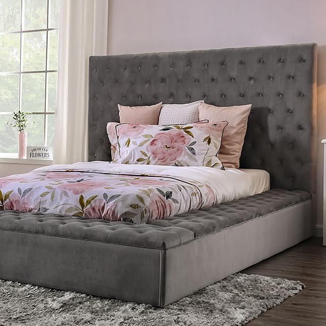 GOLATI Queen Bed, Gray - Premium Bed from FOA East - Just $889.20! Shop now at Furniture Wholesale Plus  We are the best furniture store in Nashville, Hendersonville, Goodlettsville, Madison, Antioch, Mount Juliet, Lebanon, Gallatin, Springfield, Murfreesboro, Franklin, Brentwood