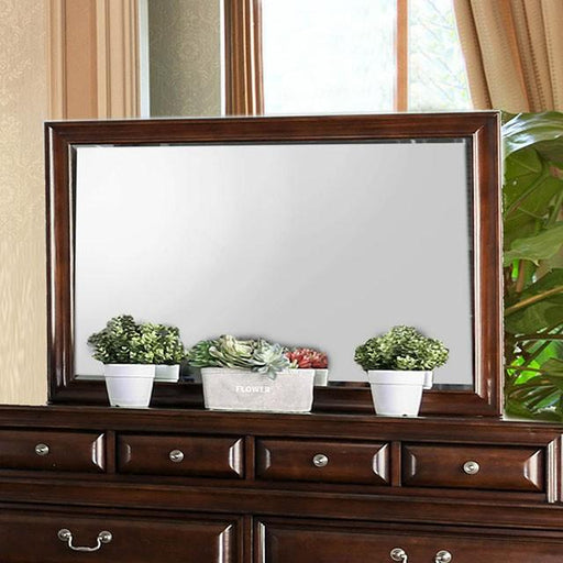 Brandt Brown Cherry Mirror - Premium Mirror from FOA East - Just $136.50! Shop now at Furniture Wholesale Plus  We are the best furniture store in Nashville, Hendersonville, Goodlettsville, Madison, Antioch, Mount Juliet, Lebanon, Gallatin, Springfield, Murfreesboro, Franklin, Brentwood