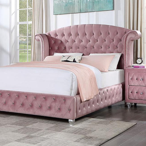 ZOHAR Queen Bed, Pink - Premium Bed from FOA East - Just $758.55! Shop now at Furniture Wholesale Plus  We are the best furniture store in Nashville, Hendersonville, Goodlettsville, Madison, Antioch, Mount Juliet, Lebanon, Gallatin, Springfield, Murfreesboro, Franklin, Brentwood