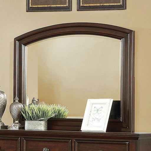 Castor Brown Cherry Mirror - Premium Mirror from FOA East - Just $173.55! Shop now at Furniture Wholesale Plus  We are the best furniture store in Nashville, Hendersonville, Goodlettsville, Madison, Antioch, Mount Juliet, Lebanon, Gallatin, Springfield, Murfreesboro, Franklin, Brentwood