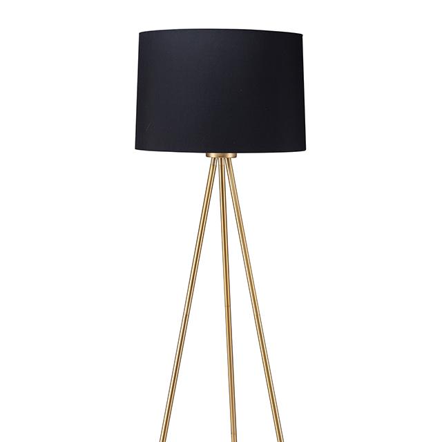 Zera Floor Lamp - Premium Lamp from FOA East - Just $134.55! Shop now at Furniture Wholesale Plus  We are the best furniture store in Nashville, Hendersonville, Goodlettsville, Madison, Antioch, Mount Juliet, Lebanon, Gallatin, Springfield, Murfreesboro, Franklin, Brentwood