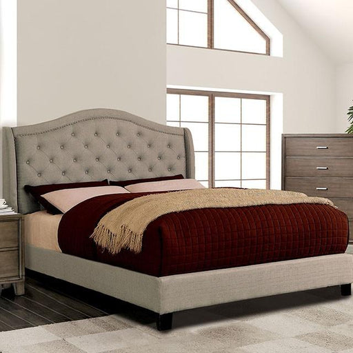 CARLY Cal.King Bed, Warm Gray - Premium Bed from FOA East - Just $419.25! Shop now at Furniture Wholesale Plus  We are the best furniture store in Nashville, Hendersonville, Goodlettsville, Madison, Antioch, Mount Juliet, Lebanon, Gallatin, Springfield, Murfreesboro, Franklin, Brentwood