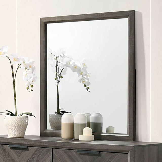 VAGAN Mirror - Premium Mirror from FOA East - Just $97.50! Shop now at Furniture Wholesale Plus  We are the best furniture store in Nashville, Hendersonville, Goodlettsville, Madison, Antioch, Mount Juliet, Lebanon, Gallatin, Springfield, Murfreesboro, Franklin, Brentwood