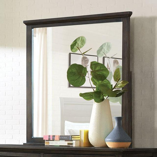 ALAINA 5mm Beveled Mirror - Premium Mirror from FOA East - Just $156! Shop now at Furniture Wholesale Plus  We are the best furniture store in Nashville, Hendersonville, Goodlettsville, Madison, Antioch, Mount Juliet, Lebanon, Gallatin, Springfield, Murfreesboro, Franklin, Brentwood