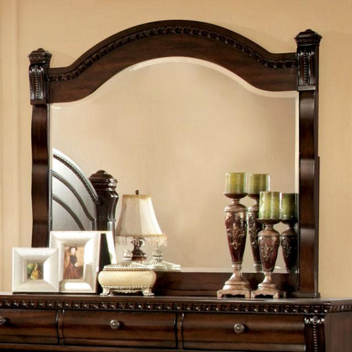 BURLEIGH Cherry Mirror - Premium Mirror from FOA East - Just $214.50! Shop now at Furniture Wholesale Plus  We are the best furniture store in Nashville, Hendersonville, Goodlettsville, Madison, Antioch, Mount Juliet, Lebanon, Gallatin, Springfield, Murfreesboro, Franklin, Brentwood