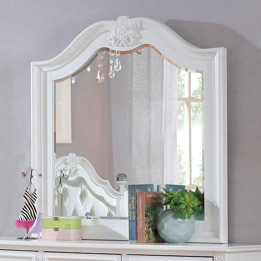 BELVA Mirror - Premium Mirror from FOA East - Just $175.50! Shop now at Furniture Wholesale Plus  We are the best furniture store in Nashville, Hendersonville, Goodlettsville, Madison, Antioch, Mount Juliet, Lebanon, Gallatin, Springfield, Murfreesboro, Franklin, Brentwood