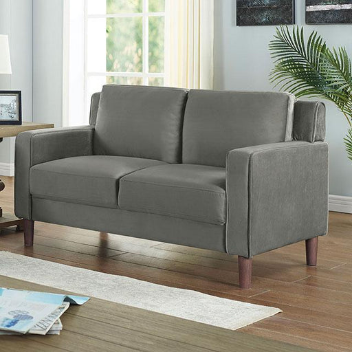 BRANDI Loveseat, Gray - Premium Loveseat from FOA East - Just $395.85! Shop now at Furniture Wholesale Plus  We are the best furniture store in Nashville, Hendersonville, Goodlettsville, Madison, Antioch, Mount Juliet, Lebanon, Gallatin, Springfield, Murfreesboro, Franklin, Brentwood