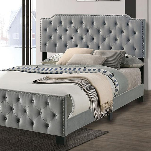 CHARLIZE Cal.King Bed, Gray - Premium Bed from FOA East - Just $366.60! Shop now at Furniture Wholesale Plus  We are the best furniture store in Nashville, Hendersonville, Goodlettsville, Madison, Antioch, Mount Juliet, Lebanon, Gallatin, Springfield, Murfreesboro, Franklin, Brentwood