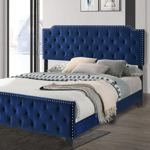 CHARLIZE Cal.King Bed, Navy - Premium Bed from FOA East - Just $366.60! Shop now at Furniture Wholesale Plus  We are the best furniture store in Nashville, Hendersonville, Goodlettsville, Madison, Antioch, Mount Juliet, Lebanon, Gallatin, Springfield, Murfreesboro, Franklin, Brentwood