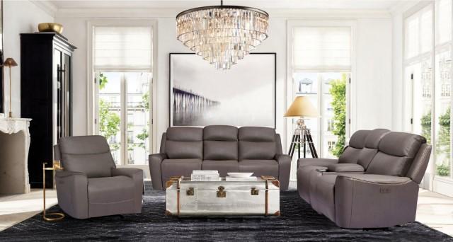 ARTEMIA Power Loveseat, Gray - Premium Loveseat from FOA East - Just $1583.40! Shop now at Furniture Wholesale Plus  We are the best furniture store in Nashville, Hendersonville, Goodlettsville, Madison, Antioch, Mount Juliet, Lebanon, Gallatin, Springfield, Murfreesboro, Franklin, Brentwood