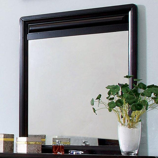 Yorkville Espresso Mirror - Premium Mirror from FOA East - Just $128.70! Shop now at Furniture Wholesale Plus  We are the best furniture store in Nashville, Hendersonville, Goodlettsville, Madison, Antioch, Mount Juliet, Lebanon, Gallatin, Springfield, Murfreesboro, Franklin, Brentwood