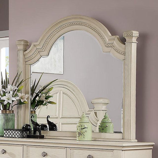 PAMPHILOS Mirror - Premium Mirror from FOA East - Just $253.50! Shop now at Furniture Wholesale Plus  We are the best furniture store in Nashville, Hendersonville, Goodlettsville, Madison, Antioch, Mount Juliet, Lebanon, Gallatin, Springfield, Murfreesboro, Franklin, Brentwood