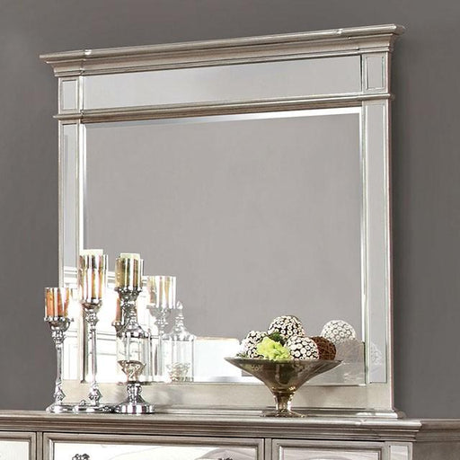 Salamanca Silver Mirror - Premium Mirror from FOA East - Just $251.55! Shop now at Furniture Wholesale Plus  We are the best furniture store in Nashville, Hendersonville, Goodlettsville, Madison, Antioch, Mount Juliet, Lebanon, Gallatin, Springfield, Murfreesboro, Franklin, Brentwood