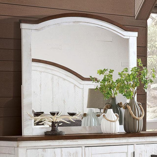 ALYSON Mirror - Premium Mirror from FOA East - Just $175.50! Shop now at Furniture Wholesale Plus  We are the best furniture store in Nashville, Hendersonville, Goodlettsville, Madison, Antioch, Mount Juliet, Lebanon, Gallatin, Springfield, Murfreesboro, Franklin, Brentwood