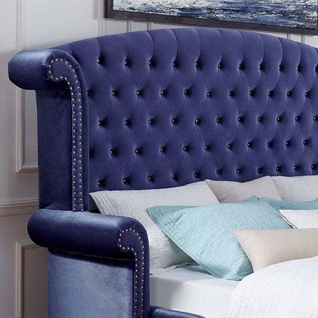 ALZIR Cal.King Bed, Blue - Premium Bed from FOA East - Just $1084.20! Shop now at Furniture Wholesale Plus  We are the best furniture store in Nashville, Hendersonville, Goodlettsville, Madison, Antioch, Mount Juliet, Lebanon, Gallatin, Springfield, Murfreesboro, Franklin, Brentwood