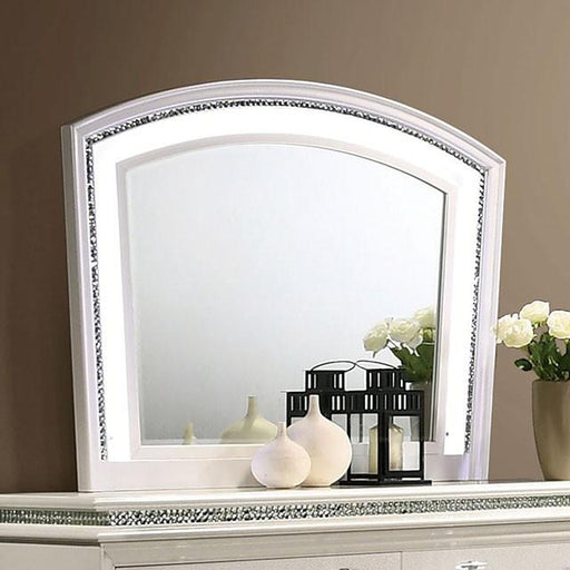 MADDIE Arched Mirror - Premium Mirror from FOA East - Just $312! Shop now at Furniture Wholesale Plus  We are the best furniture store in Nashville, Hendersonville, Goodlettsville, Madison, Antioch, Mount Juliet, Lebanon, Gallatin, Springfield, Murfreesboro, Franklin, Brentwood