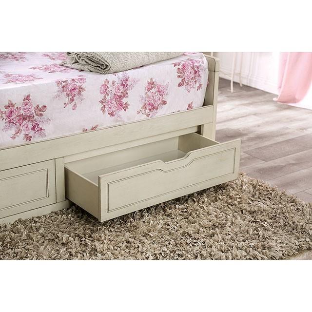 MAUREEN Daybed w/ Extentable Trundle - Premium Daybed from FOA East - Just $813.15! Shop now at Furniture Wholesale Plus  We are the best furniture store in Nashville, Hendersonville, Goodlettsville, Madison, Antioch, Mount Juliet, Lebanon, Gallatin, Springfield, Murfreesboro, Franklin, Brentwood