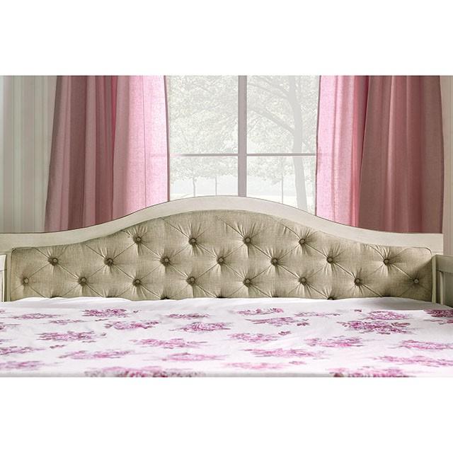 MAUREEN Daybed w/ Extentable Trundle - Premium Daybed from FOA East - Just $813.15! Shop now at Furniture Wholesale Plus  We are the best furniture store in Nashville, Hendersonville, Goodlettsville, Madison, Antioch, Mount Juliet, Lebanon, Gallatin, Springfield, Murfreesboro, Franklin, Brentwood