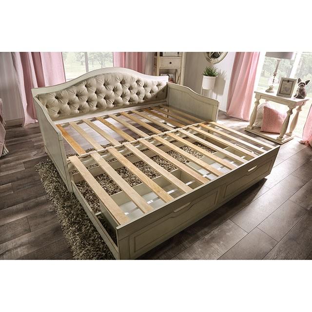 MAUREEN Daybed w/ Extentable Trundle - Premium Daybed from FOA East - Just $813.15! Shop now at Furniture Wholesale Plus  We are the best furniture store in Nashville, Hendersonville, Goodlettsville, Madison, Antioch, Mount Juliet, Lebanon, Gallatin, Springfield, Murfreesboro, Franklin, Brentwood