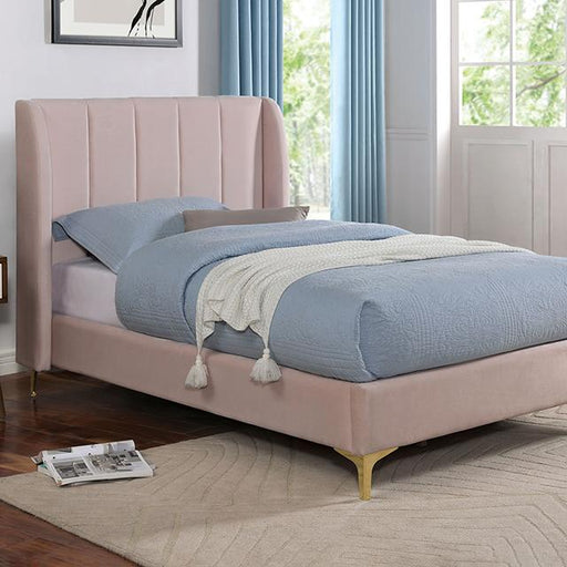 PEARL Twin Bed, Light Pink - Premium Bed from FOA East - Just $349.05! Shop now at Furniture Wholesale Plus  We are the best furniture store in Nashville, Hendersonville, Goodlettsville, Madison, Antioch, Mount Juliet, Lebanon, Gallatin, Springfield, Murfreesboro, Franklin, Brentwood