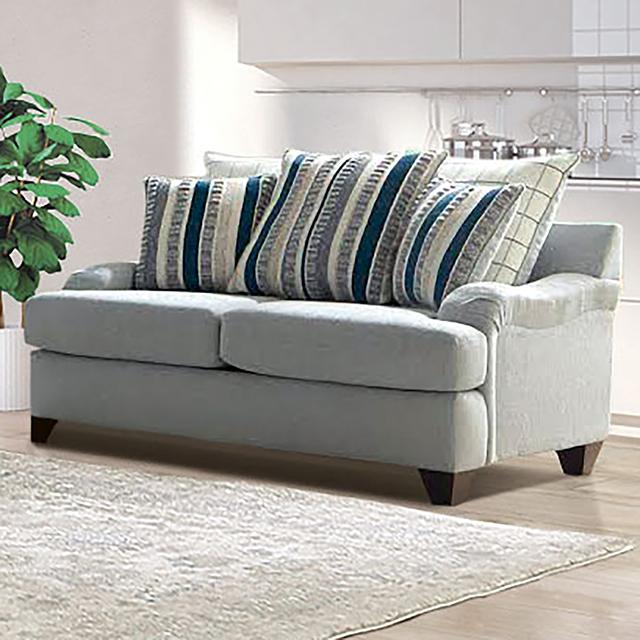 PLAISTOW Loveseat - Premium Loveseat from FOA East - Just $1033.50! Shop now at Furniture Wholesale Plus  We are the best furniture store in Nashville, Hendersonville, Goodlettsville, Madison, Antioch, Mount Juliet, Lebanon, Gallatin, Springfield, Murfreesboro, Franklin, Brentwood