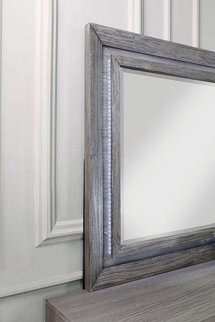 RAIDEN Mirror w/ LED, Gray - Premium Mirror from FOA East - Just $292.50! Shop now at Furniture Wholesale Plus  We are the best furniture store in Nashville, Hendersonville, Goodlettsville, Madison, Antioch, Mount Juliet, Lebanon, Gallatin, Springfield, Murfreesboro, Franklin, Brentwood