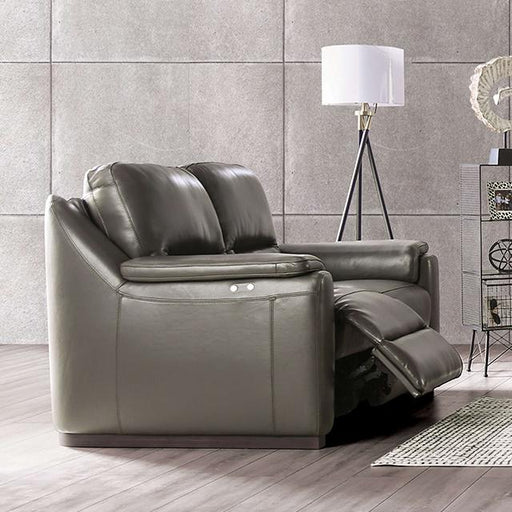 ALTAMURA Power Loveseat, Gray - Premium Loveseat from FOA East - Just $2728.05! Shop now at Furniture Wholesale Plus  We are the best furniture store in Nashville, Hendersonville, Goodlettsville, Madison, Antioch, Mount Juliet, Lebanon, Gallatin, Springfield, Murfreesboro, Franklin, Brentwood