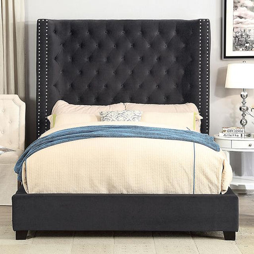 ROSABELLE E.King Bed, Black - Premium Bed from FOA East - Just $973.05! Shop now at Furniture Wholesale Plus  We are the best furniture store in Nashville, Hendersonville, Goodlettsville, Madison, Antioch, Mount Juliet, Lebanon, Gallatin, Springfield, Murfreesboro, Franklin, Brentwood