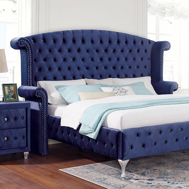 ALZIR Cal.King Bed, Blue - Premium Bed from FOA East - Just $1084.20! Shop now at Furniture Wholesale Plus  We are the best furniture store in Nashville, Hendersonville, Goodlettsville, Madison, Antioch, Mount Juliet, Lebanon, Gallatin, Springfield, Murfreesboro, Franklin, Brentwood