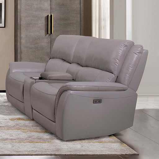 GORGIUS Power Loveseat, Light Gray - Premium Loveseat from FOA East - Just $1308.45! Shop now at Furniture Wholesale Plus  We are the best furniture store in Nashville, Hendersonville, Goodlettsville, Madison, Antioch, Mount Juliet, Lebanon, Gallatin, Springfield, Murfreesboro, Franklin, Brentwood