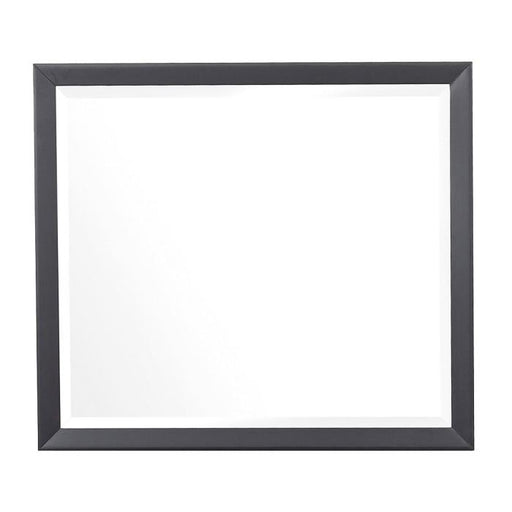 Homelegance Raku Mirror in Gray 1711-6 - Premium Mirror from Homelegance (Titan Warehouse) - Just $122.85! Shop now at Furniture Wholesale Plus  We are the best furniture store in Nashville, Hendersonville, Goodlettsville, Madison, Antioch, Mount Juliet, Lebanon, Gallatin, Springfield, Murfreesboro, Franklin, Brentwood