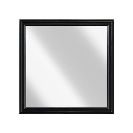 Homelegance Mayville Mirror in Black 2147BK-6 - Premium Mirror from Homelegance (Titan Warehouse) - Just $66.30! Shop now at Furniture Wholesale Plus  We are the best furniture store in Nashville, Hendersonville, Goodlettsville, Madison, Antioch, Mount Juliet, Lebanon, Gallatin, Springfield, Murfreesboro, Franklin, Brentwood