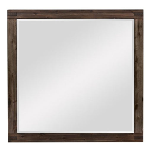 Homelegance Parnell Mirror in Rustic Cherry 1648-6 - Premium Mirror from Homelegance (Titan Warehouse) - Just $99.45! Shop now at Furniture Wholesale Plus  We are the best furniture store in Nashville, Hendersonville, Goodlettsville, Madison, Antioch, Mount Juliet, Lebanon, Gallatin, Springfield, Murfreesboro, Franklin, Brentwood