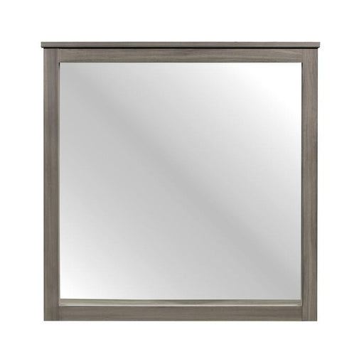 Homelegance Waldorf Mirror in Dark Gray 1902-6 - Premium Mirror from Homelegance (Titan Warehouse) - Just $76.05! Shop now at Furniture Wholesale Plus  We are the best furniture store in Nashville, Hendersonville, Goodlettsville, Madison, Antioch, Mount Juliet, Lebanon, Gallatin, Springfield, Murfreesboro, Franklin, Brentwood