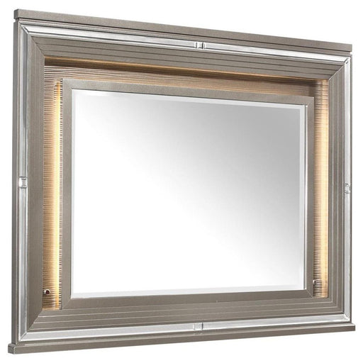 Tamsin Mirror in Silver Grey Metallic 1616-6 - Premium Mirror from Homelegance (Titan Warehouse) - Just $243.75! Shop now at Furniture Wholesale Plus  We are the best furniture store in Nashville, Hendersonville, Goodlettsville, Madison, Antioch, Mount Juliet, Lebanon, Gallatin, Springfield, Murfreesboro, Franklin, Brentwood