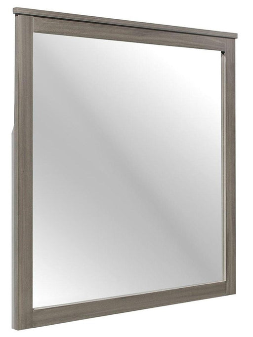 Waldorf Mirror in Dark Gray 1902-6 - Premium Mirror from Homelegance (Titan Warehouse) - Just $76.05! Shop now at Furniture Wholesale Plus  We are the best furniture store in Nashville, Hendersonville, Goodlettsville, Madison, Antioch, Mount Juliet, Lebanon, Gallatin, Springfield, Murfreesboro, Franklin, Brentwood