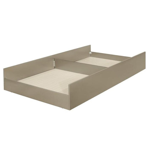 Youth Loudon Trundle/Toybox in Champagne Metallic B1515-R - Premium Trundle from Homelegance (Titan Warehouse) - Just $185.25! Shop now at Furniture Wholesale Plus  We are the best furniture store in Nashville, Hendersonville, Goodlettsville, Madison, Antioch, Mount Juliet, Lebanon, Gallatin, Springfield, Murfreesboro, Franklin, Brentwood