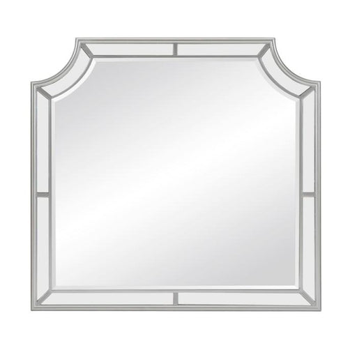 Avondale Mirror in Silver 1646-6 - Premium Mirror from Homelegance (Titan Warehouse) - Just $169.65! Shop now at Furniture Wholesale Plus  We are the best furniture store in Nashville, Hendersonville, Goodlettsville, Madison, Antioch, Mount Juliet, Lebanon, Gallatin, Springfield, Murfreesboro, Franklin, Brentwood