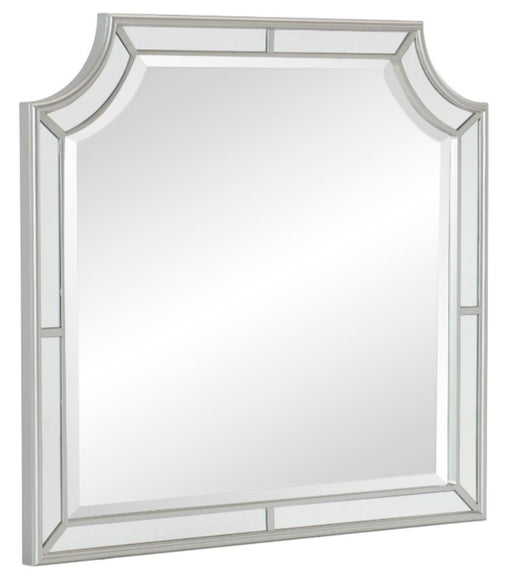 Avondale Mirror in Silver 1646-6 - Premium Mirror from Homelegance (Titan Warehouse) - Just $169.65! Shop now at Furniture Wholesale Plus  We are the best furniture store in Nashville, Hendersonville, Goodlettsville, Madison, Antioch, Mount Juliet, Lebanon, Gallatin, Springfield, Murfreesboro, Franklin, Brentwood