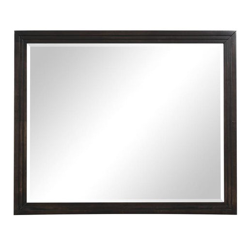 Larchmont Mirror in Charcoal 5424-6 - Premium Mirror from Homelegance (Titan Warehouse) - Just $161.85! Shop now at Furniture Wholesale Plus  We are the best furniture store in Nashville, Hendersonville, Goodlettsville, Madison, Antioch, Mount Juliet, Lebanon, Gallatin, Springfield, Murfreesboro, Franklin, Brentwood