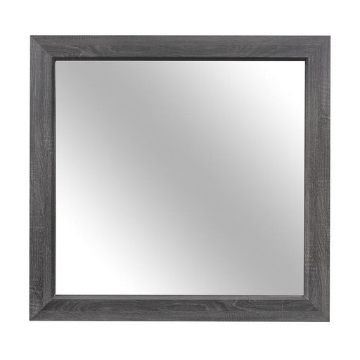 Beechnut Mirror in Gray 1904GY-6 - Premium Mirror from Homelegance (Titan Warehouse) - Just $83.85! Shop now at Furniture Wholesale Plus  We are the best furniture store in Nashville, Hendersonville, Goodlettsville, Madison, Antioch, Mount Juliet, Lebanon, Gallatin, Springfield, Murfreesboro, Franklin, Brentwood