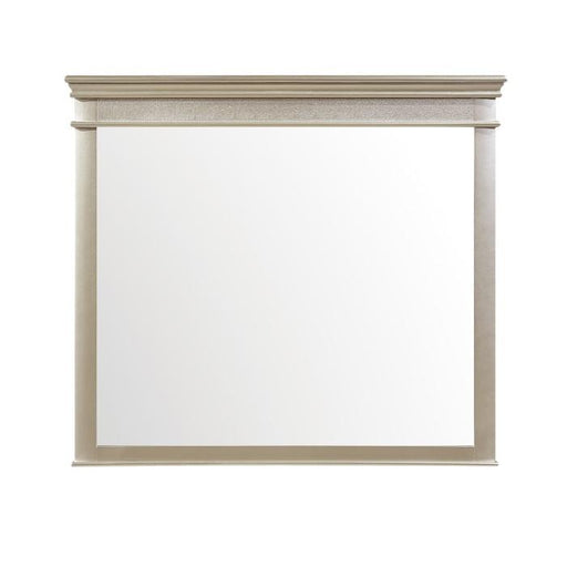 Celandine Mirror in Silver 1928-6 - Premium Mirror from Homelegance (Titan Warehouse) - Just $152.10! Shop now at Furniture Wholesale Plus  We are the best furniture store in Nashville, Hendersonville, Goodlettsville, Madison, Antioch, Mount Juliet, Lebanon, Gallatin, Springfield, Murfreesboro, Franklin, Brentwood