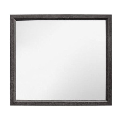 Davi Mirror in Gray 1645-6 - Premium Mirror from Homelegance (Titan Warehouse) - Just $66.30! Shop now at Furniture Wholesale Plus  We are the best furniture store in Nashville, Hendersonville, Goodlettsville, Madison, Antioch, Mount Juliet, Lebanon, Gallatin, Springfield, Murfreesboro, Franklin, Brentwood